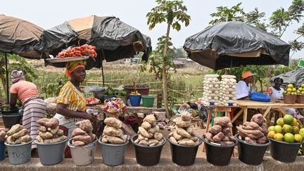 Marchandises à vendre au carrefour de N'Zianouan, près de Tiassale, en Côte d'Ivoire, le 4 février 2024. (ISSOUF SANOGO / AFP)