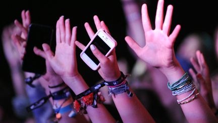 Le public d'un concert au festival des Vieilles Charrues à&nbsp;Carhaix-Plouguer (Finistère), en juillet 2015. (FRED TANNEAU / AFP)