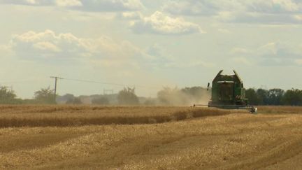 Agriculture : l’écologie au coeur de la Politique Agricole Commune