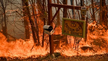 Un incendie&nbsp;proche du nord de Sydney (Australie), le 11 novembre 2019. (PETER PARKS / AFP)