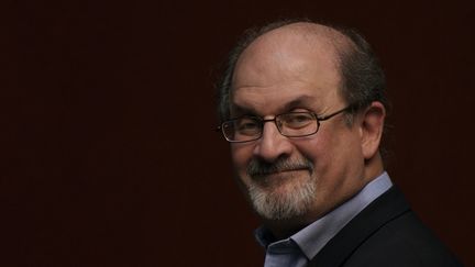 L'écrivain Salman Rushdie en 2008. (ULF ANDERSEN / AFP)