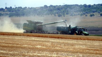 Des agriculteurs ukrainiens récoltent des céréales dans la région d'Odessa, dans le sud de l'Ukraine, le 23 juin 2023. (IGOR TKACHENKO / EPA)