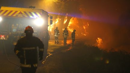 Des pompiers luttent contre un feu de forêt, le 24 juillet 2017, à Biguglia (Haute-Corse). (PASCAL POCHARD-CASABIANCA / AFP)