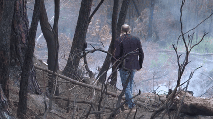 Incendie en Gironde : la forêt brûle encore sous terre