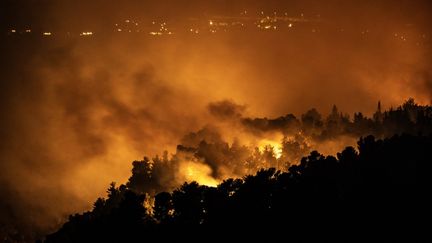 Une forêt en feu après des frappes israéliennes à Safad el-Battikh (Liban), le 24 septembre 2024. (MOSTAFA ALKHAROUF / ANADOLU / AFP)