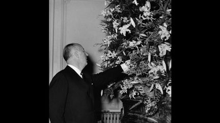 Christian Dior au 30, avenue Montaigne. Le couturier veille lui-même à l’équilibre des compositions florales et incite ses collaborateurs à diffuser dans ses salons les parfums Miss Dior, Diorama et Diorissimo, circa 1955. 
 (Willy Maywald/ADAGP)