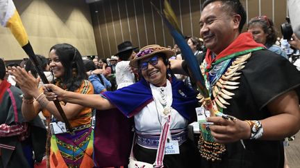 Des membres de communautés de différents pays le 1er novembre à Cali (Colombie), après l'annonce du statut renforcé des peuples autochtones lors de la COP16. (JOAQUIN SARMIENTO / AFP)