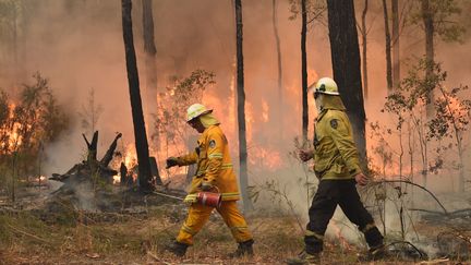 Des pompiers près de&nbsp;Jerrawangala, en Australie, essayent de contenir l'incendie qui a ravagé le pays en janvier. (PETER PARKS / AFP)