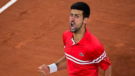 Novak Djokovic exulte après sa victoire en quarts de finale de Roland-Garros contre Matteo Berrettini, mercredi 9 juin. (MARTIN BUREAU / AFP)