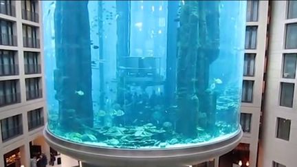 Allemagne : quand un aquarium géant explose à Berlin (Capture franceinfo)