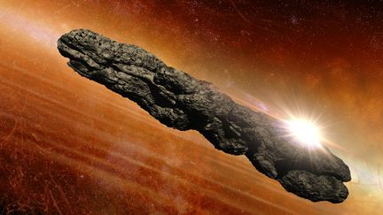 Vue d'artiste d'Oumuamua. (VICTOR HABBICK VISIONS / SCIENCE PHOTO LIBRARY / AFP)