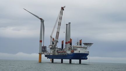 Le champ d'éolienne&nbsp;en construction avec le bateau "Le Vole aux Vents" et sa grue capable de soulever 1 500 tonnes. (HELENE ROUSSEL / RADIO FRANCE)