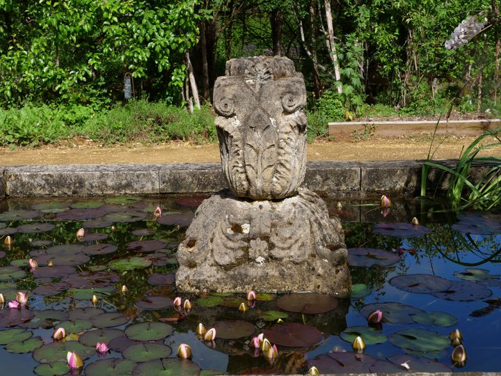 Un des bassins des Jardins de Cadiot. Le crapaud flûte mâle peut venir y déposer ses œufs.&nbsp; (ISABELLE MORAND / RADIO FRANCE / FRANCE INFO)