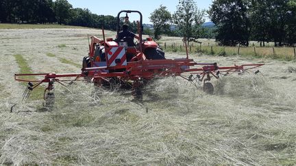 Les agriculteurs sont confrontés à une sécheresse depuis le début du printemps et l'été ne s'annonce pas beaucopup plus humide. (NICOLAS BLANZAT / FRANCE-BLEU LIMOUSIN)