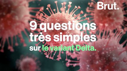 Pour Brut, Samuel Alizon, directeur de recherche au CNRS, a essayé de répondre le plus simplement possible à 9 questions très simples sur le variant Delta.