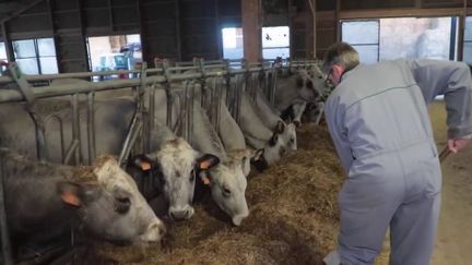 Colère des agriculteurs : les exploitants face à des contraintes insoutenables (France 2)