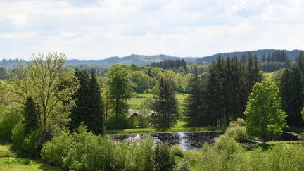 Excavations have been launched in Corrèze to find a mass grave with the remains of German soldiers.  Near Meymac, at a place called Le Vert, May 15, 2023. (STÉPHANIE PARA / MAXPPP)