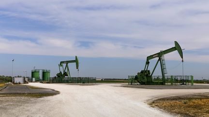 Des derricks près de Jouy-le-Châtel (Seine-et-Marne), le 21 avril 2019. (VINCENT ISORE / MAXPPP)