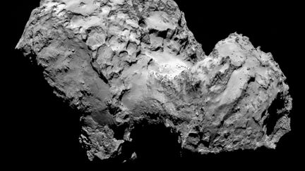 La com&egrave;te Tchouri vue par la sonde Rosetta, le 3 ao&ucirc;t 2014. ( ESA / AFP)