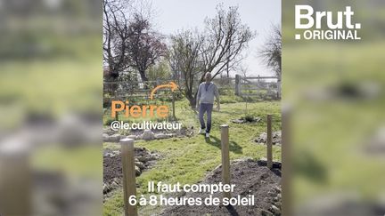 Trouver le bon emplacement, utiliser les bons outils, faire face aux ravageurs... Vous voulez débuter un potager, voici les conseils de Pierre le cultivateur.