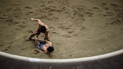 Une compétition de lutte coréenne à Andong (Corée du Sud), le 19 novembre 2018.&nbsp; (ED JONES / AFP)