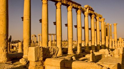 La cité de Palmyre, patrimoine mondial de l'humanité, Syrie
 (Guyot - Ana / Only world / Only France )