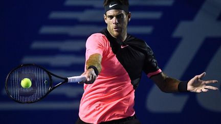 Juan Martin Del Potro. (PEDRO PARDO / AFP)