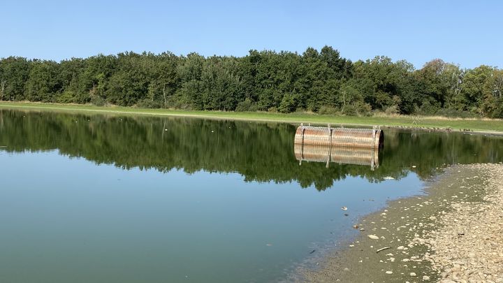 La température de l'eau de l'étang Mont Rozand à Marlieux dans l'Ain a dépassé les 30 degrés le 21 août 2023. (THEO METTON-REGIMBEAU)