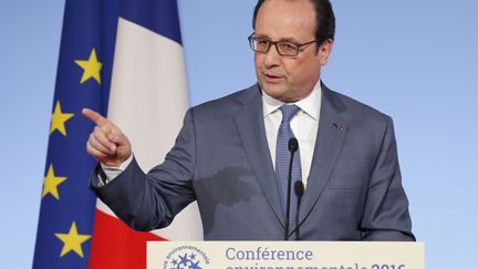 Nucléaire : "EDF devra proposer la fermeture de certaines centrales" après 2018, annonce François Hollande