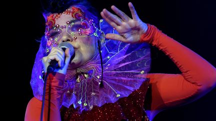 Bjork en concert à Berlin en août 2015
 (Britta Pedersen / dpa / picture-alliance / MaxPPP)