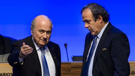 Le pr&eacute;sident de la Fifa, Joseph Blatter et celui de l'UEFA, Michel Platini, le 11 juin 2014 &agrave; Sao Paulo (Br&eacute;sil). (FABRICE COFFRINI / AFP)