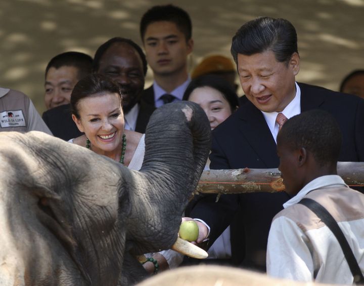 Le président chinois, Xi Jinping, visite un sanctuaire de la faune sauvage à Harare (Zimbabwe), le 2 décembre 2015. Il promet d'aider l'Afrique à protéger sa faune. (Photo AFP/Philimon Bulawayo)