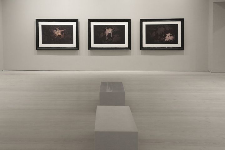 Exposition "Second floor", des photographies signées Sam Taylor-Johnson
 (Sam Taylor-Johnson/Chanel)