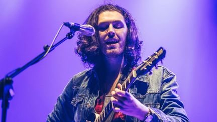 Hozier en concert au 02 Arena de Londres le 31 janvier 2016.
 (PJP photos/Shutterstock/SIPA)