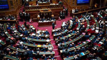 Une séance publique au Sénat, à Paris, le 23 novembre 2022. (XOSE BOUZAS / HANS LUCAS / AFP)