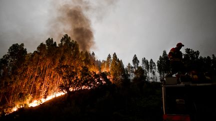 Un incendie de forêt s'est déclaré dans le centre du Portugal, le 18 juin 2017. Ici, sur la commune de Penela. (PATRICIA DE MELO MOREIRA / AFP)