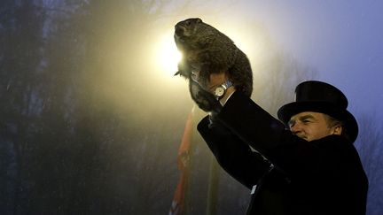 La marmotte&nbsp;Phil est brandi&nbsp;apr&egrave;s avoir vu son ombre pr&eacute;disant six mois suppl&eacute;mentaire d'hiver lors du traditionnel "Jour de la marmotte" &agrave;&nbsp;Punxsutawney (Pennsylvanie, Etats-Unis), le 2 f&eacute;vrier 2014. (JEFF SWENSEN / GETTY IMAGES / AFP)