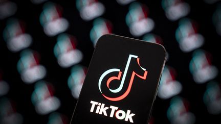 En ouvrant une interface dédiée, jeudi 20 juillet, TikTok veut faciliter "les recherches indépendantes sur la plateforme et d'apporter de la transparence au contenu". (JAAP ARRIENS / NURPHOTO / AFP)