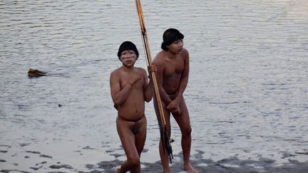 Des photos r&eacute;v&eacute;l&eacute;es par la Funai montrant des Indiens isol&eacute;s film&eacute;s le 30 juin 2014, au bord de la rivi&egrave;re Envira, dans l'Etat de l'Acre, au Br&eacute;sil. (HO / FUNAI / AFP)