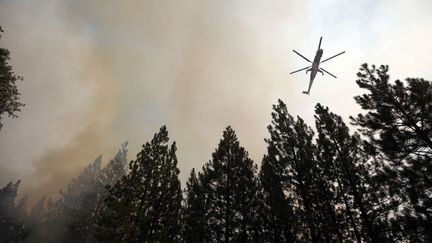 Un h&eacute;licopt&egrave;re l&acirc;che de l'eau, le 25 ao&ucirc;t 2013 dans le parc de Yosemite.&nbsp; (JAE C. HONG / AP / SIPA)