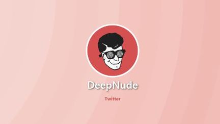 DeepNude, l'application capable de déshabiller virtuellement les femmes.&nbsp; (CAPTURE D'ECRAN TWITTER)