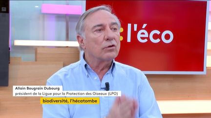 Invité de Stéphane Dépinoy dans ":l'éco", Allain Bougrain Dubourg, président de la LPO, est venu parler de l'hécatombe de la biodiversité et des ses conséquences sur l'économie.