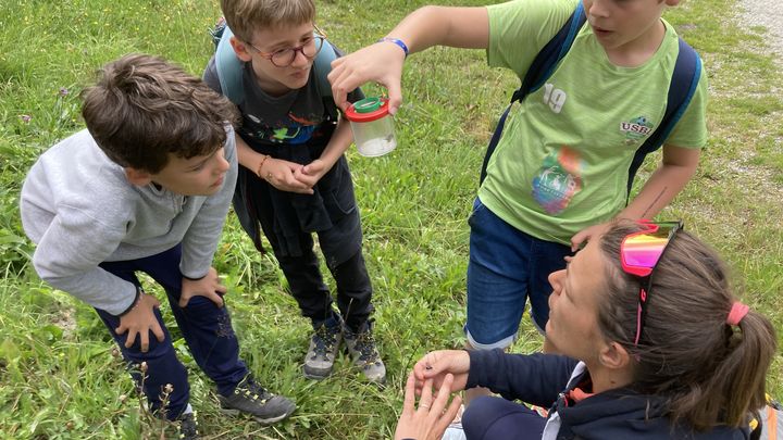 Munis de boîtes loupes, les enfants observent araignées, criquets et autres insectes qu'ils attrapent puis libèrent. (INGRID POHU / RADIOFRANCE)