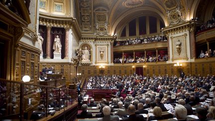 Le S&eacute;nat a adopt&eacute; dans la nuit de mardi 15 &agrave; mercredi 16 novembre une proposition de loi socialiste amendant l'immunit&eacute; du chef de l'Etat. (FRED DUFOUR / AFP)