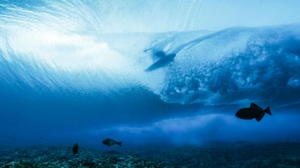 L'Italien Leonardo Fioravanti participe à la première manche masculine de surf, à Teahupo'o, le 27 juillet 2024.