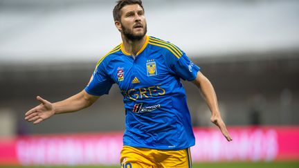 André-Pierre Gignac (DAVID LEAH / MEXSPORT)