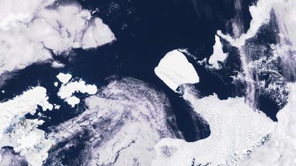 Image satellite du Sentinel-3 montrant l'iceberg A23a, dans l'Antarctique, le 26 novembre 2023. (COPERNICUS SENTINEL-3 / AFP)