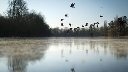 Le lac du Bois de Vincennes, &agrave; Paris, le 3 f&eacute;vrier 2012. (MARTIN BUREAU / AFP)