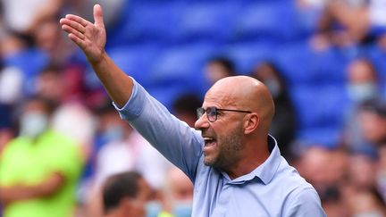 L'entraîneur de l'Olympique lyonnais Peter Bosz lors du match de Ligue 1 face à Clermont, le 22 août 2021. (PHILIPPE DESMAZES / AFP)