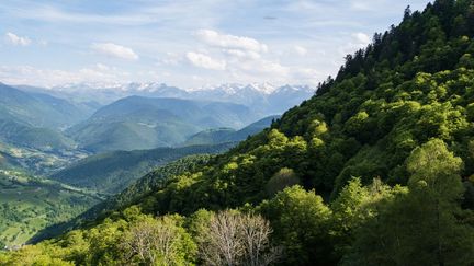 La température moyenne du 1er juin au 31 août était de 21,09°C, soit 1,75°C au-dessus de celle calculée sur la période 1971-2000. (LILIAN CAZABET / HANS LUCAS / AFP)